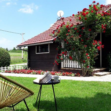 Wooden House Nela Near Plitvice Lakes Smoljanac Zewnętrze zdjęcie